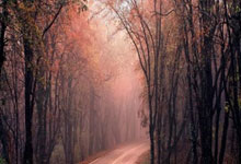 开云体育官网-蒙特雷全队士气高昂，冲击世俱杯更高荣誉