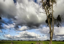 开云体育-阿尔艾因中场控制加强，争取比赛主动权