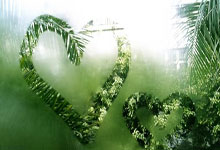 开云平台-塔斯马尼亚联球员团队氛围良好，备战世俱杯信心满满