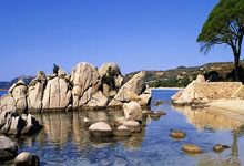 开云体育在线-西雅图海湾者队长激励全队，挑战强敌士气高昂