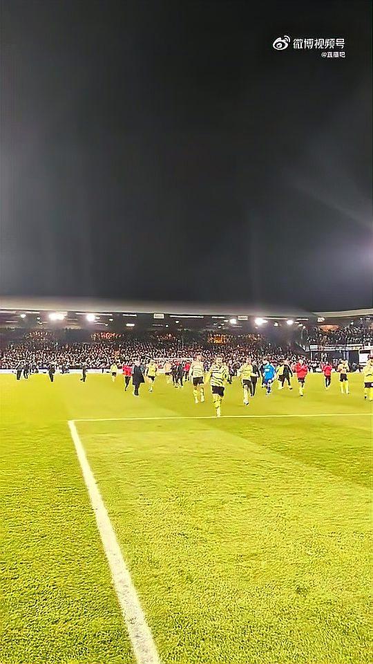 开云体育平台APP-球迷激情喊声响彻全场，支持队伍取胜