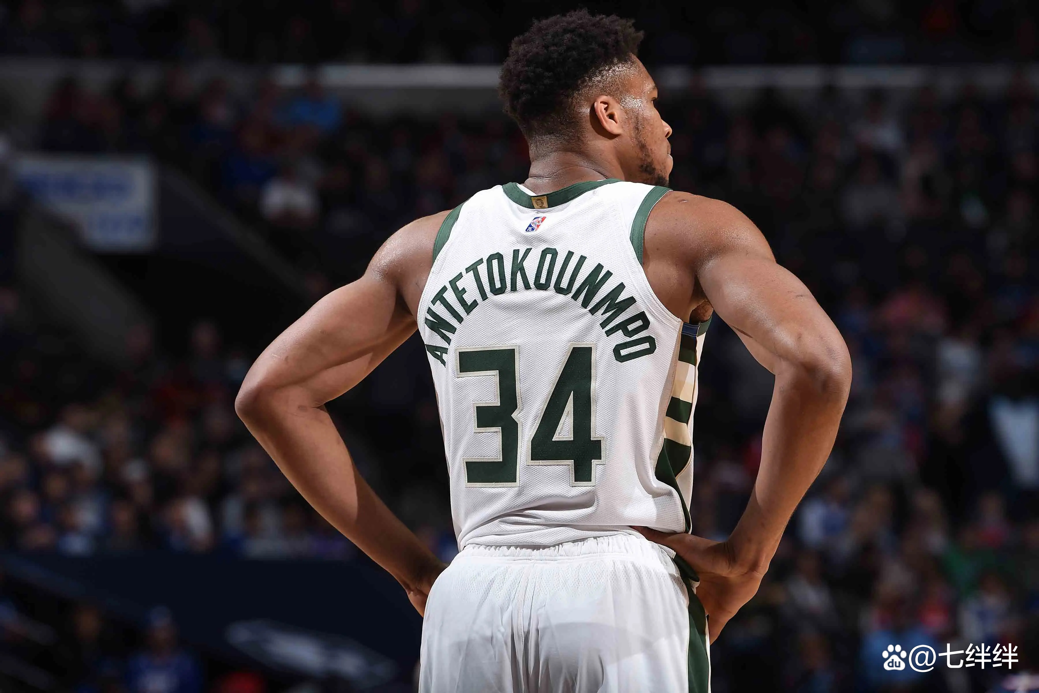 雄鹿惜败魔术,未能延续胜势 雄鹿惜败魔术,未能延续胜势