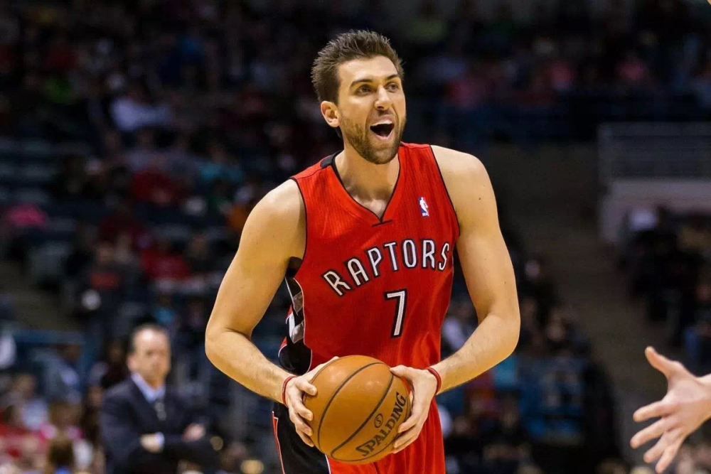 猛龙未能守住领先，遭受突亡的简单介绍