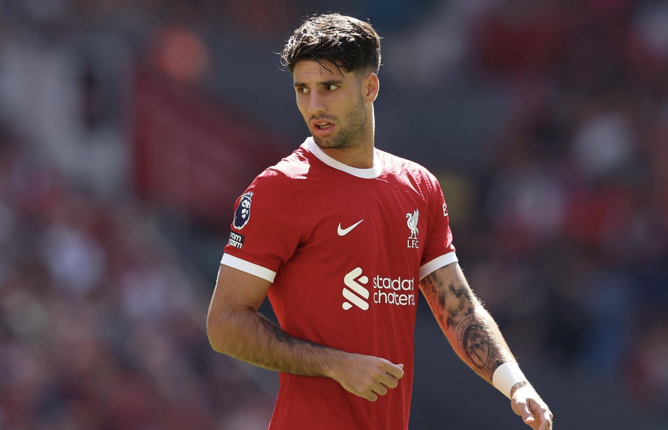 利物浦主场火力全开，大胜对手取得分