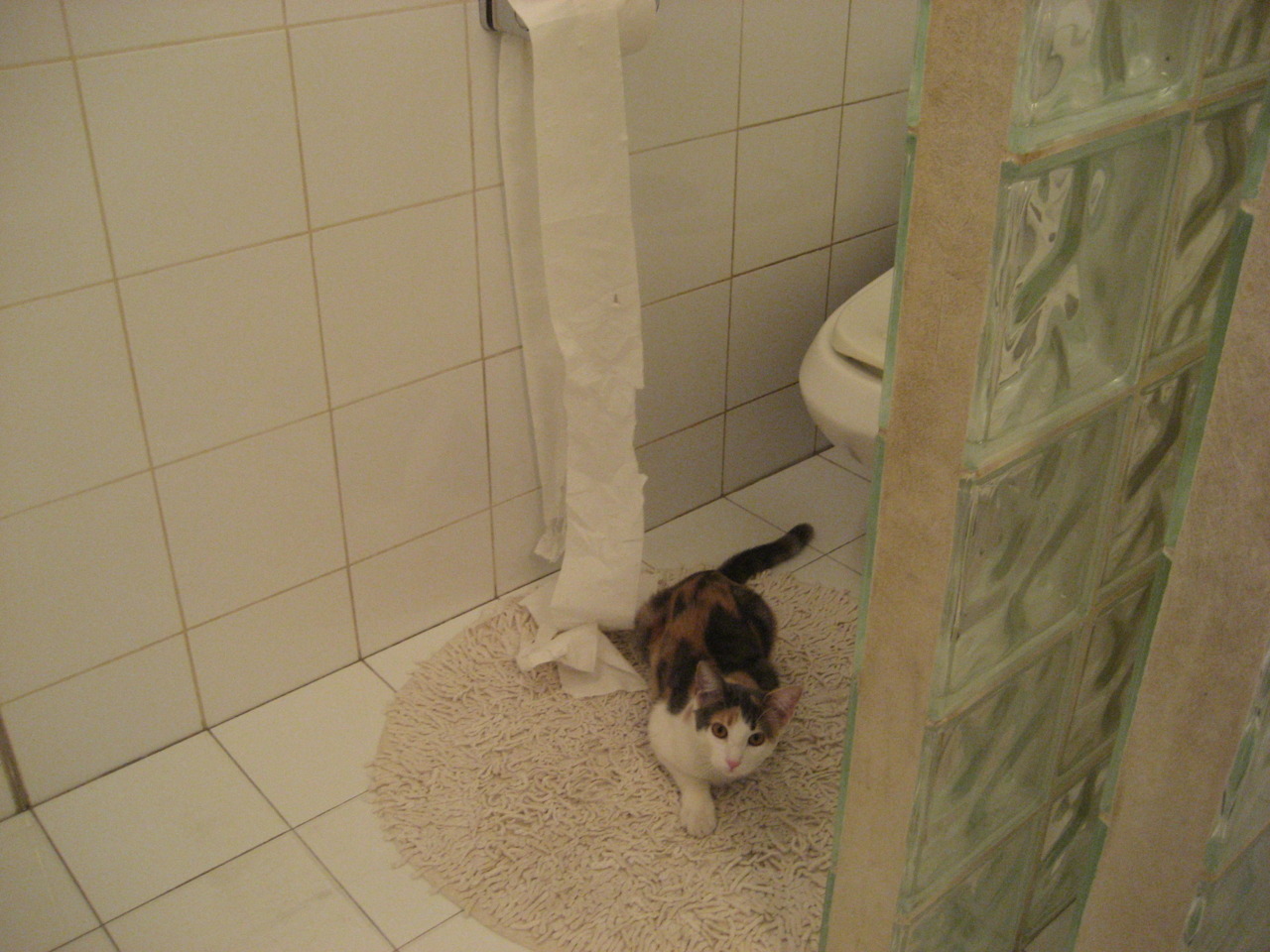 恩佐，深渊聚光灯下的攀升者