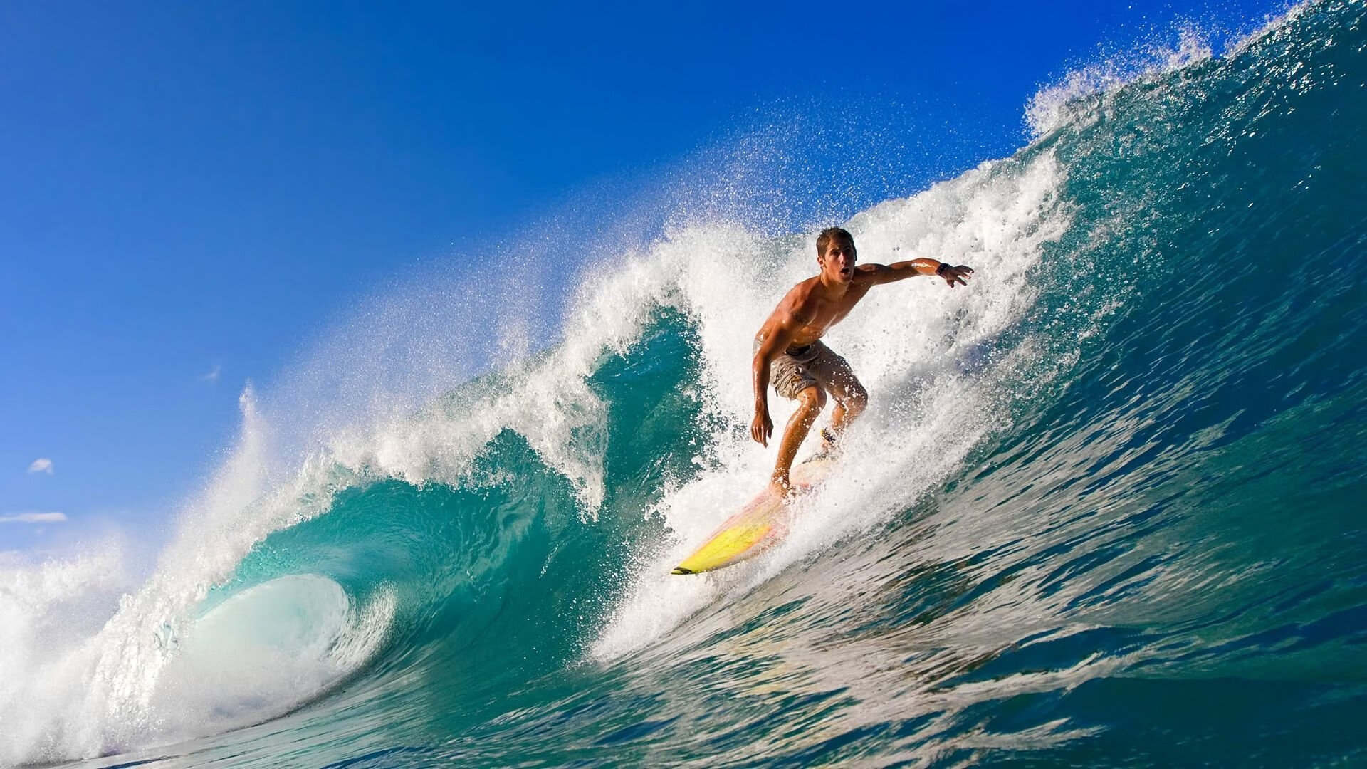 末节之王！保罗导演19分逆转，关键先生助黄蜂绝境逢生
