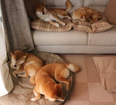 三分雨淹没盐湖城！绿军破爵士创联盟客场纪录，塔图姆35分定乾坤