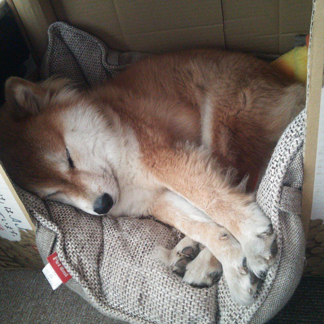 历史性颠覆!底特律活塞跨洋作战,末节逆袭带走辽宁,东决预演惊现国际新维度