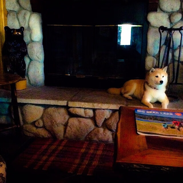 新疆队最后时刻击败骑士，字母哥成为关键先生