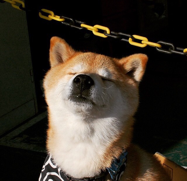 开云体育在线-加时赛鏖战，哥斯达黎加险胜克罗地亚；阿什拉夫闪耀，攻防转换定乾坤