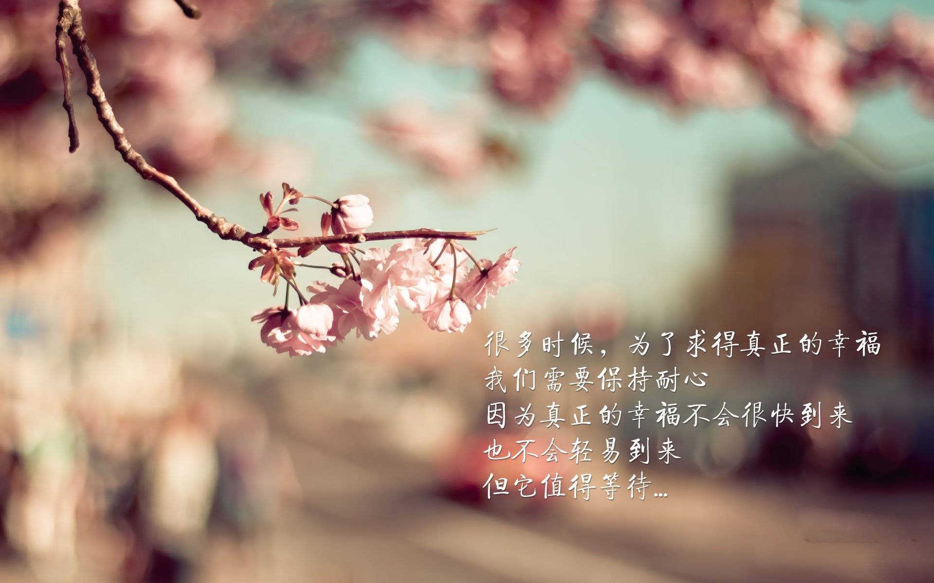 F1引擎轰鸣之夜，阿劳霍在焦点战中书写属于自己的传奇