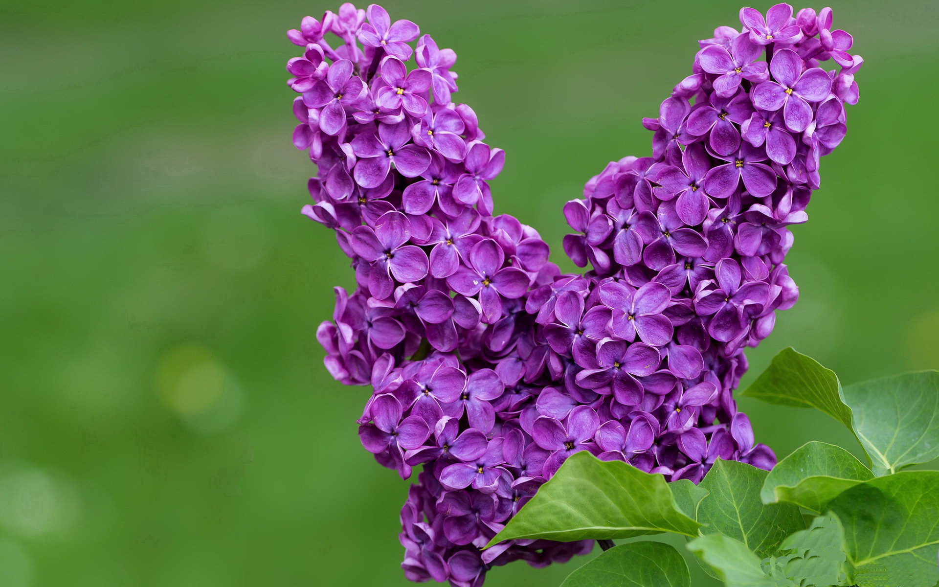 冰场上的维京风暴，挪威抢七鏖战淘汰瑞士