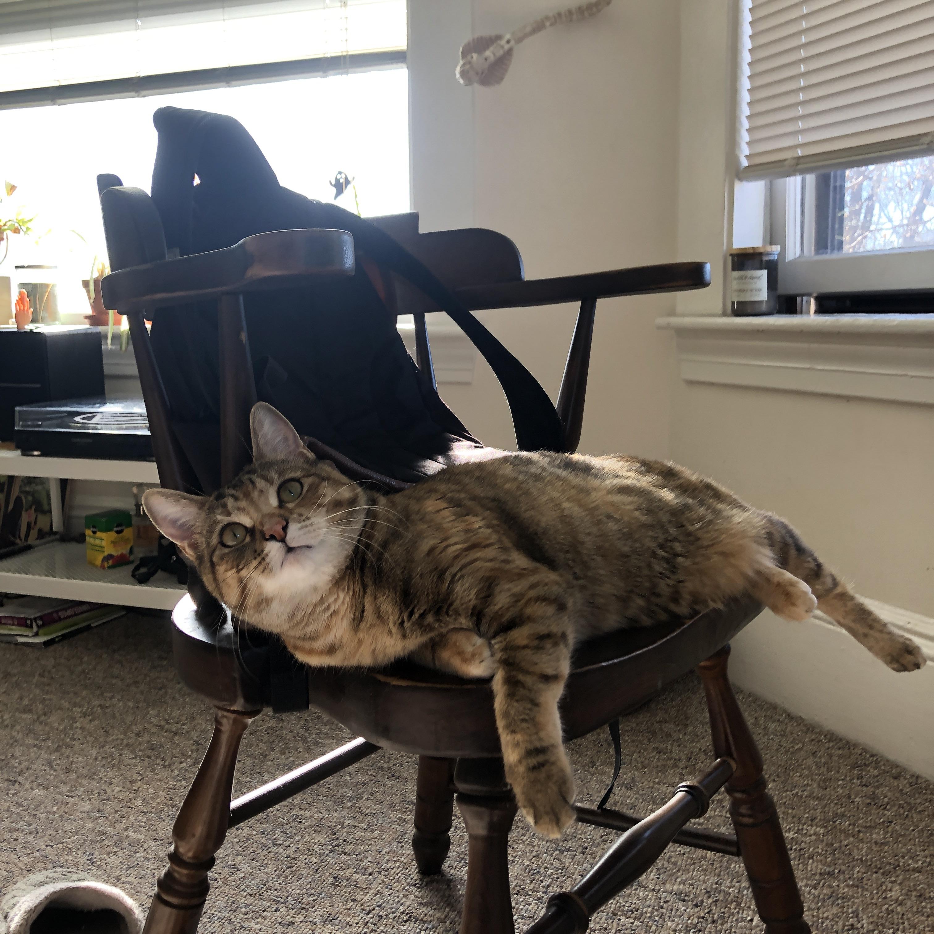 开云体育APP下载-末节风暴！马丁内利独舞接管比赛，瑞典绝地反击斩落委内瑞拉