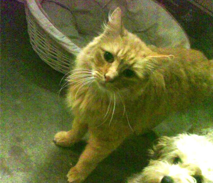 开云体育官方网站-凌晨四点的基辅与波士顿