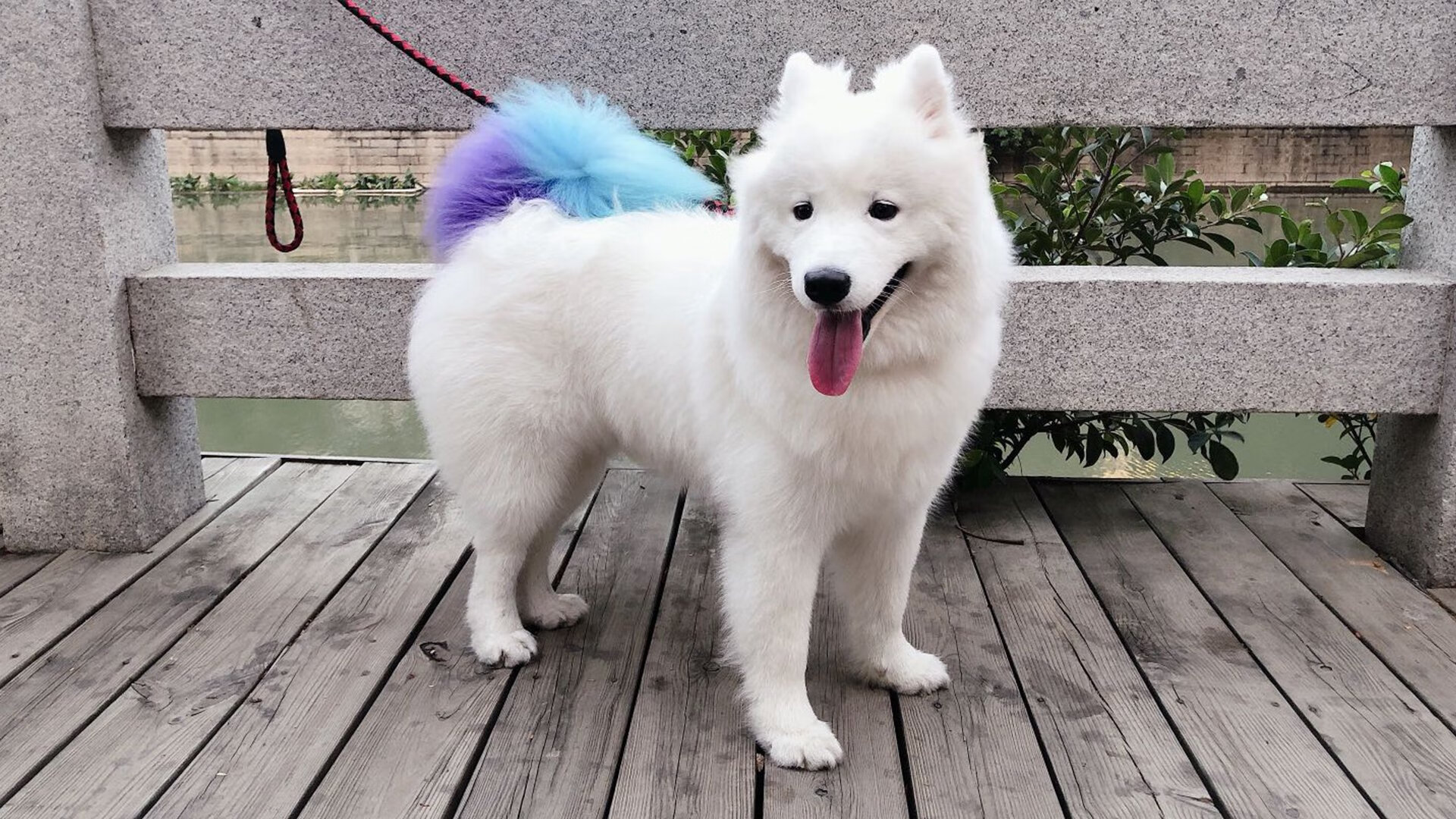 开云体育登录-从密尔沃基到五棵松，字母哥的狂舞与北京队的铁壁—世界篮球多维度的较量