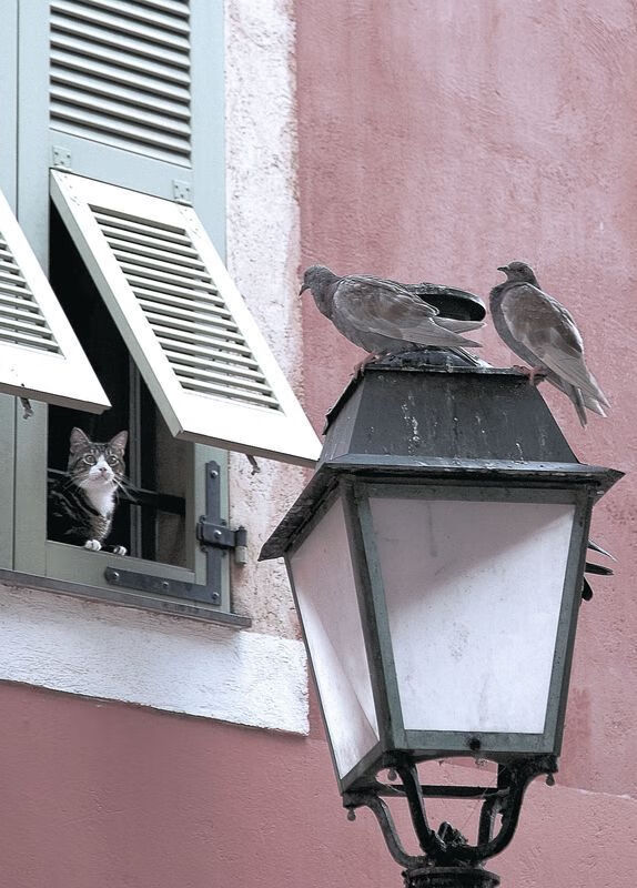 东契奇，绝境之王！加时赛惊天逆转，他让热火哑火，尼克斯沸腾