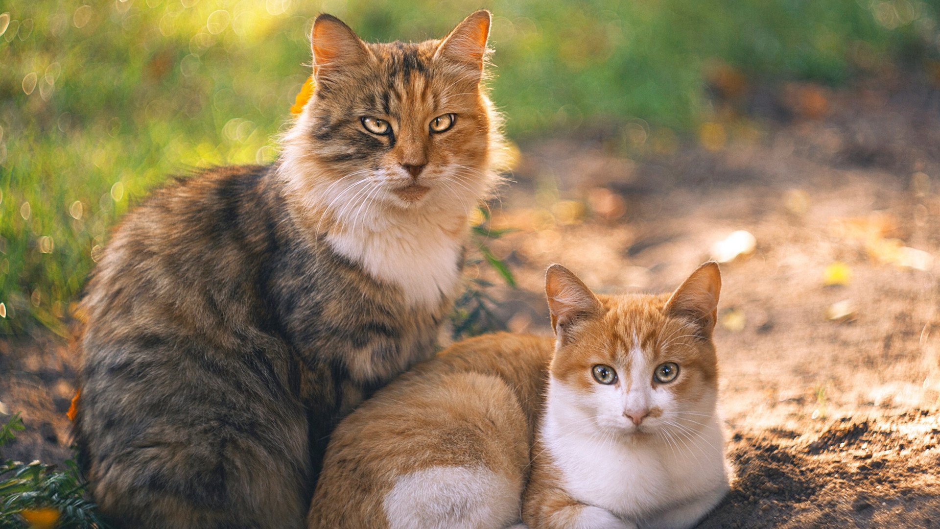 冰与火之歌，欧冠决赛夜与德罗赞关键战的共同本质