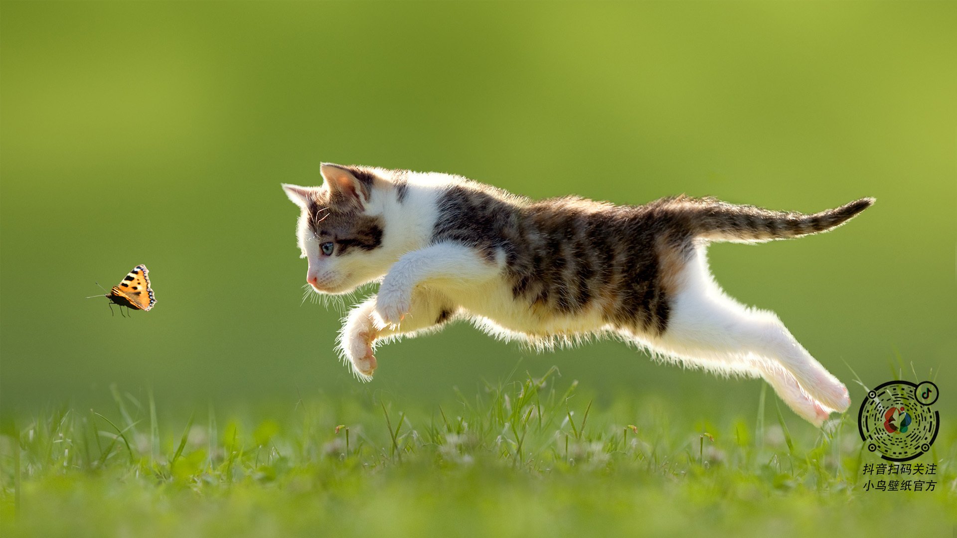 转换的艺术，从拉文到雄鹿，再到广东队的节奏哲学