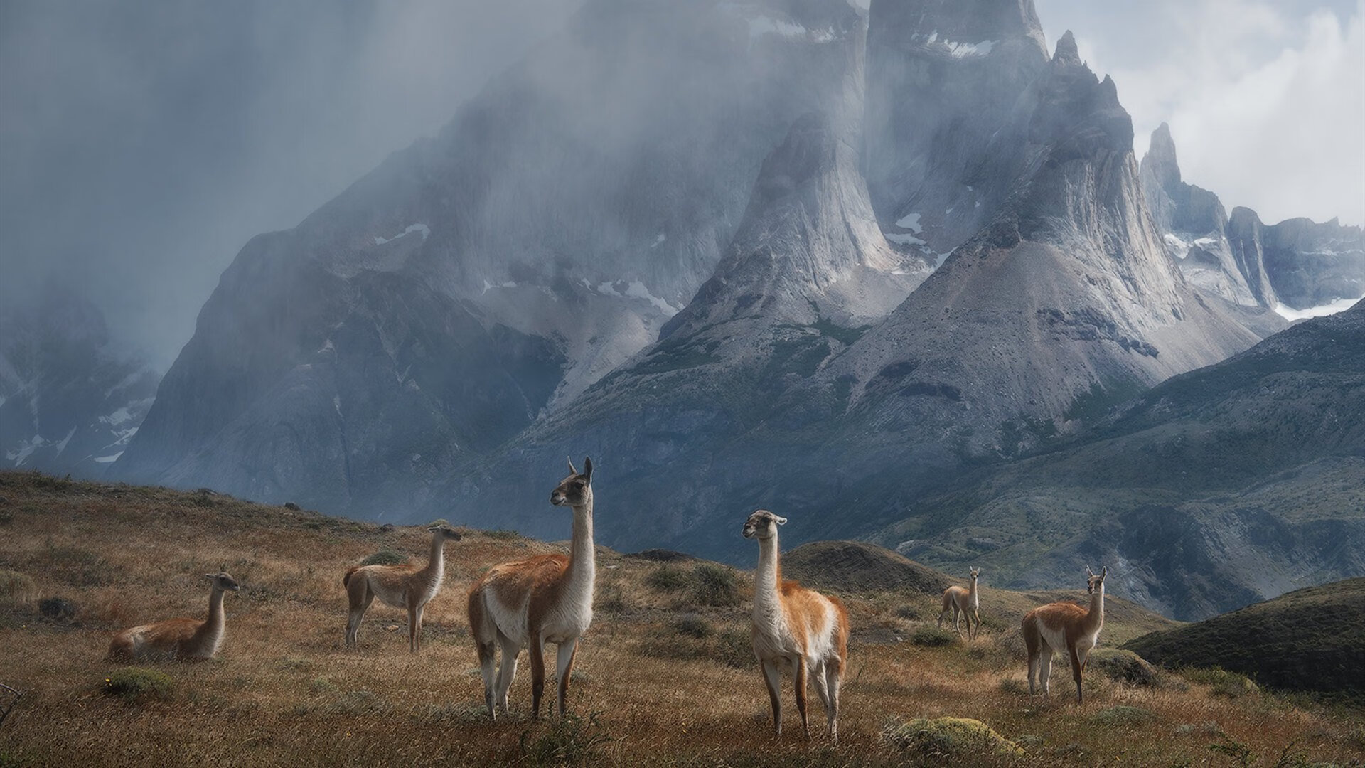 雷恩力克阿尔及利亚，厄德高舞动中场主宰节奏