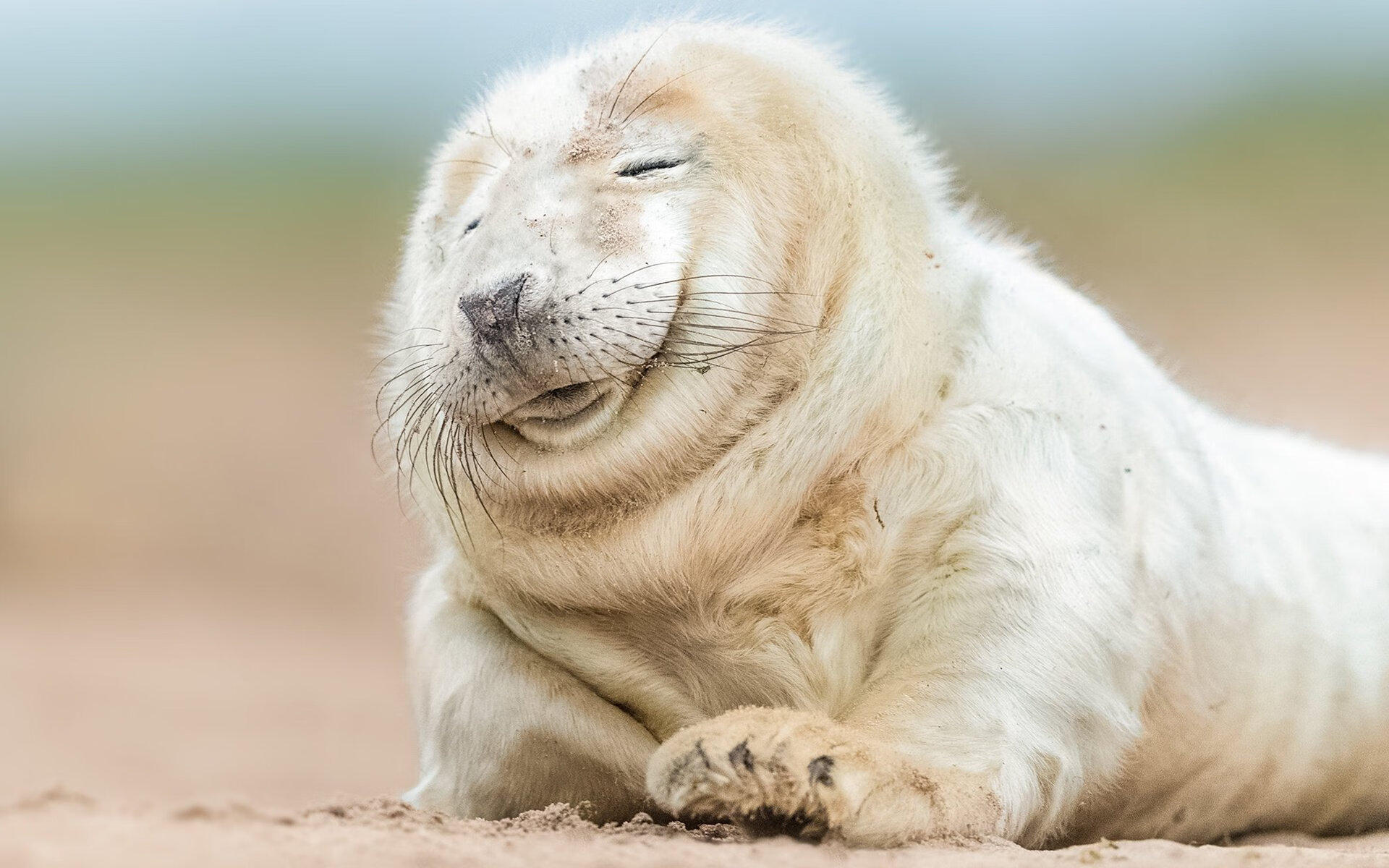 夜焰燃穹，布克世界排名战轰下统治级数据，太阳重燃争冠曙光