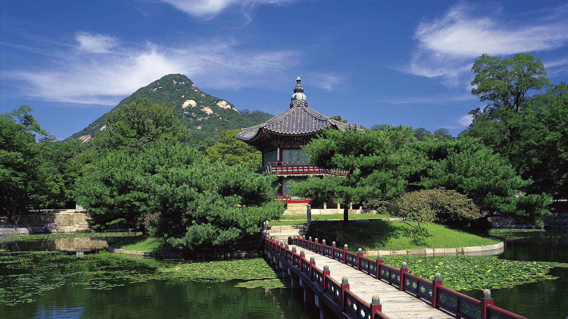 高卢雄鸡的致命收割，欧冠决赛法国势力终结马竞悲情传奇